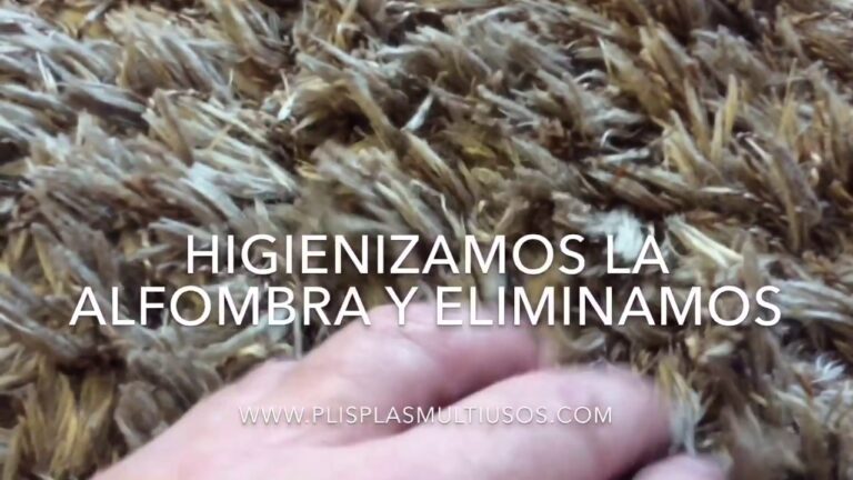 Servicio de limpieza de alfombras en Murcia: La solución para mantener tus suelos impecables